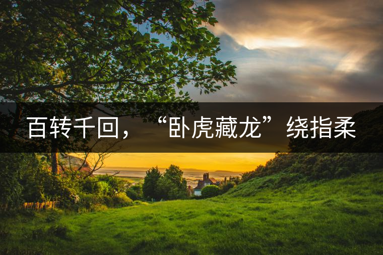 百轉(zhuǎn)千回，“臥虎藏龍”繞指柔