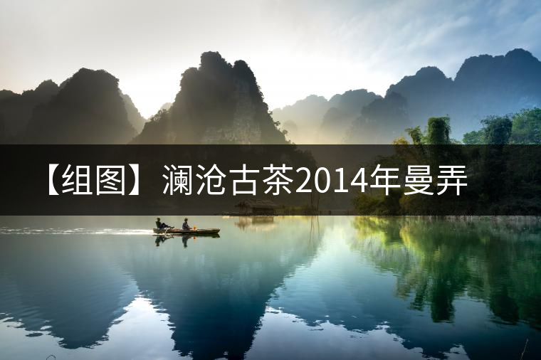 【組圖】瀾滄古茶2014年曼弄有機(jī)熟茶開湯 【組圖】瀾滄古茶2014年曼弄有機(jī)熟茶開湯