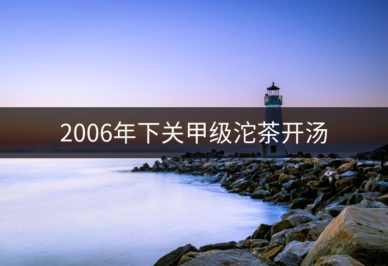 2006年下關(guān)甲級沱茶開湯 2006年下關(guān)甲級沱茶開湯