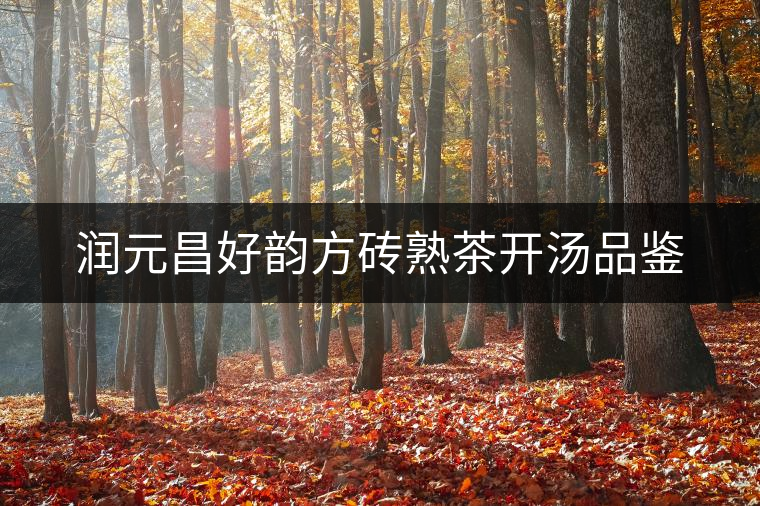 潤元昌好韻方磚熟茶開湯品鑒