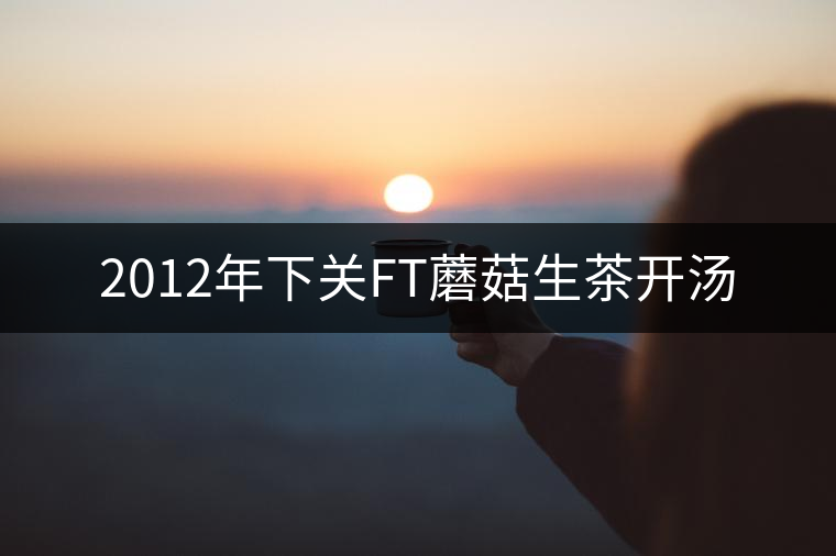 2012年下關(guān)FT蘑菇生茶開湯 2012年下關(guān)FT蘑菇生茶開湯