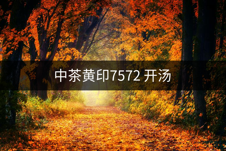 中茶黃印7572 開湯 中茶黃印7572 開湯