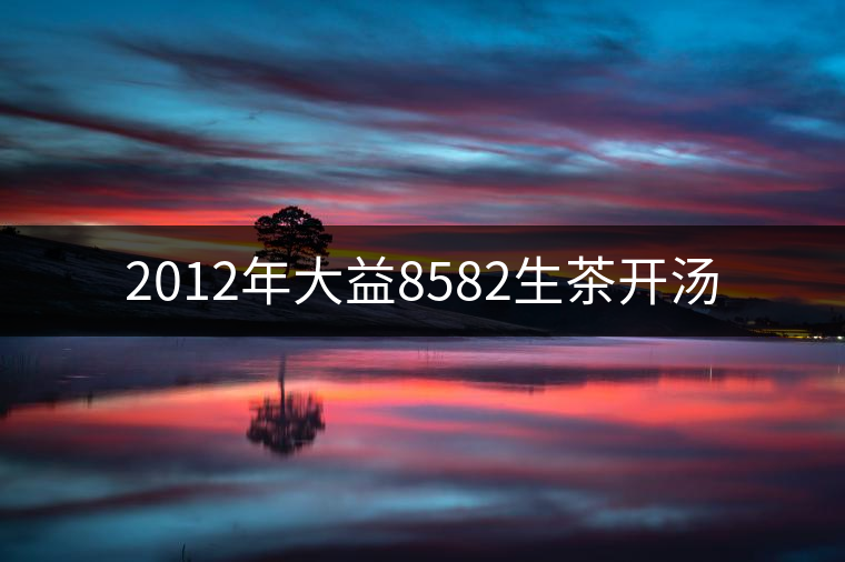 2012年大益8582生茶開湯 2012年大益8582生茶開湯