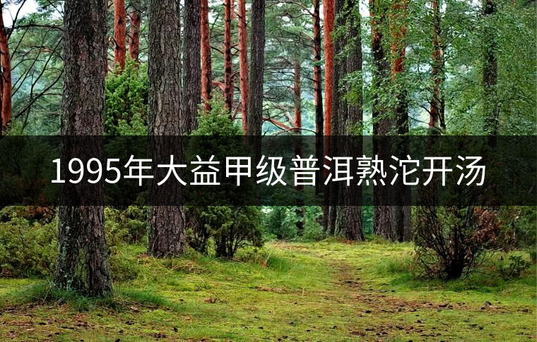 1995年大益甲級(jí)普洱熟沱開(kāi)湯 1995年大益甲級(jí)普洱熟沱開(kāi)湯