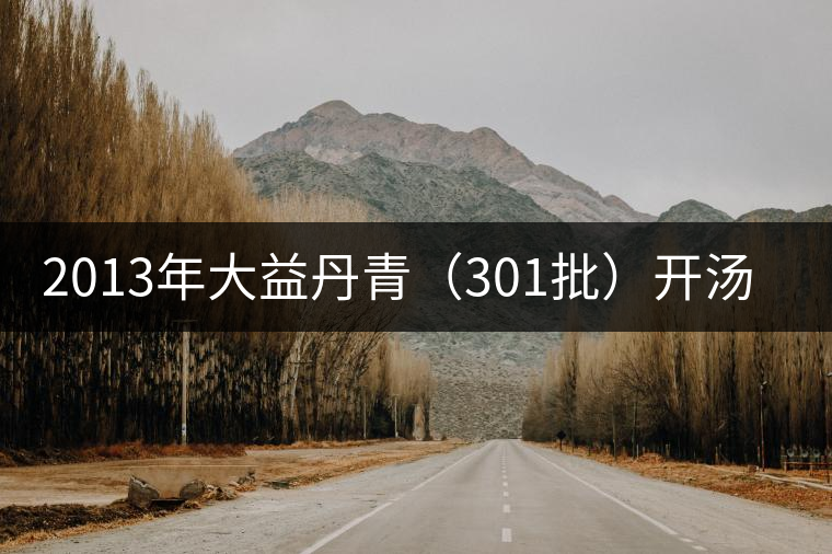 2013年大益丹青(301批)開湯品鑒 2013年大益丹青(301批)開湯品鑒