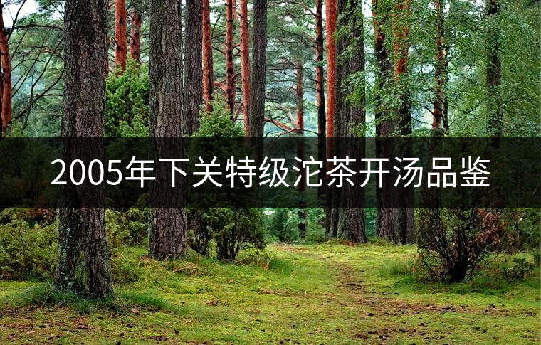 2005年下關特級沱茶開湯品鑒