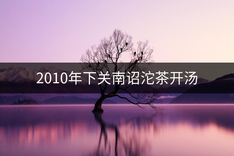 2010年下關(guān)南詔沱茶開(kāi)湯 2010年下關(guān)南詔沱茶開(kāi)湯