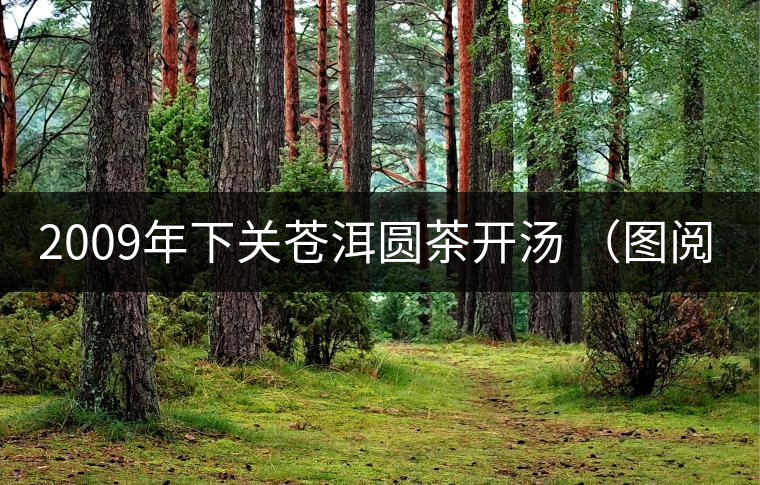 2009年下關(guān)蒼洱圓茶開湯 (圖閱) 2009年下關(guān)蒼洱圓茶開湯 (圖閱)