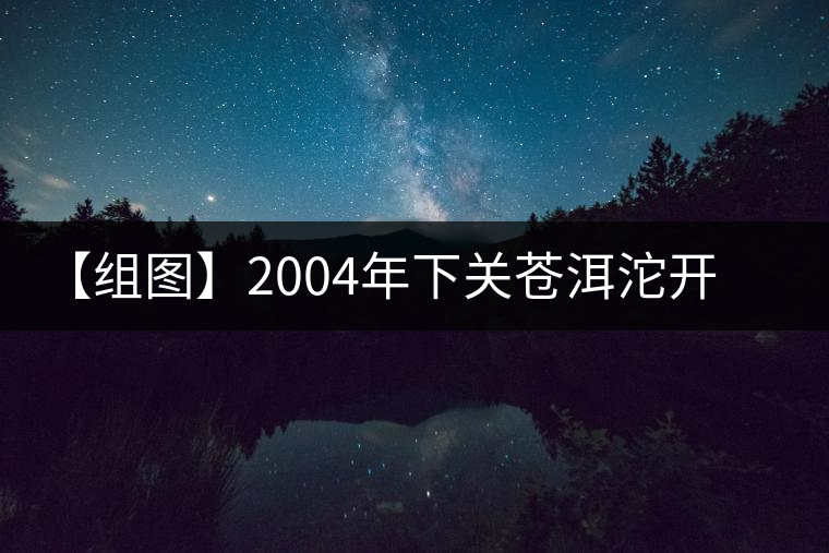【組圖】2004年下關(guān)蒼洱沱開湯 【組圖】2004年下關(guān)蒼洱沱開湯