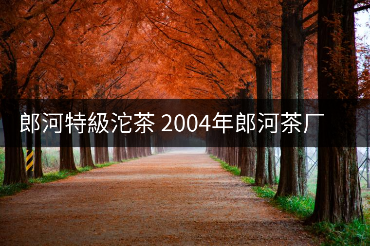 郎河特級沱茶 2004年郎河茶廠特級普洱茶沱茶 郎河特級沱茶 2004年郎河茶廠特級普洱茶沱茶