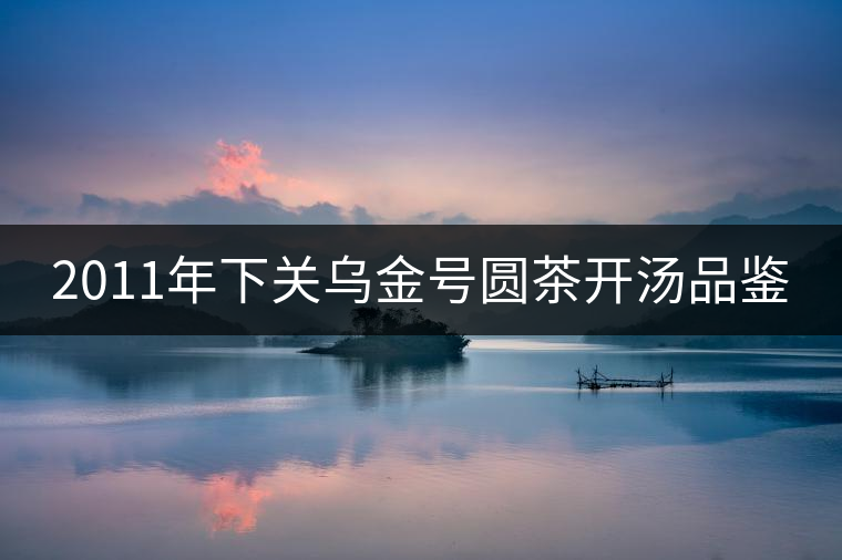 2011年下關烏金號圓茶開湯品鑒 2011年下關烏金號圓茶開湯品鑒