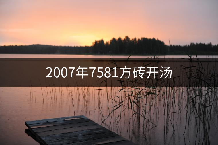 2007年7581方磚開(kāi)湯 2007年7581方磚開(kāi)湯
