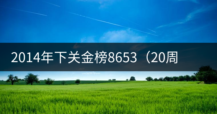 2014年下關(guān)金榜8653（20周年紀(jì)念餅）品評(píng)