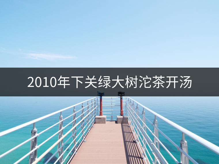 2010年下關(guān)綠大樹沱茶開湯 2010年下關(guān)綠大樹沱茶開湯