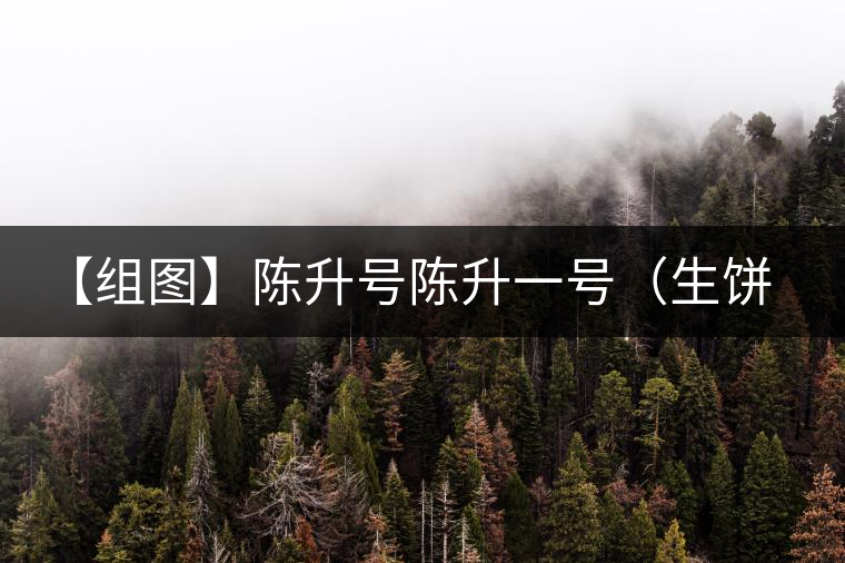 【組圖】陳升號(hào)陳升一號(hào)(生餅)開(kāi)湯 【組圖】陳升號(hào)陳升一號(hào)(生餅)開(kāi)湯