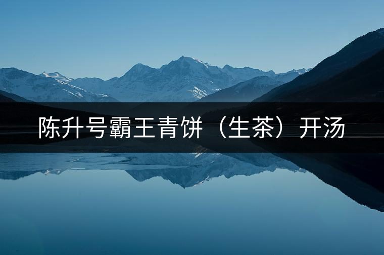 陳升號(hào)霸王青餅(生茶)開(kāi)湯 陳升號(hào)霸王青餅(生茶)開(kāi)湯