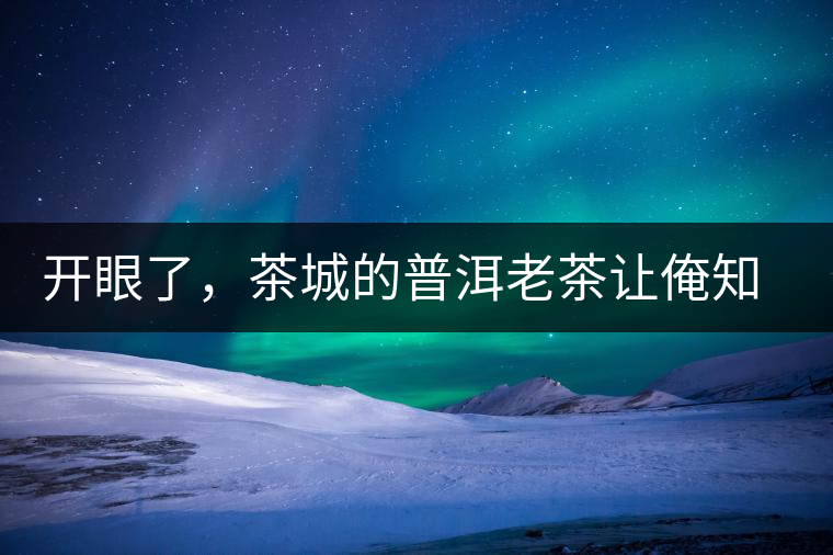 開眼了，茶城的普洱老茶讓俺知道了老茶樹