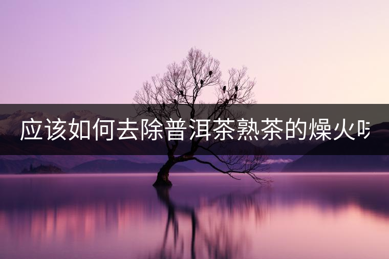 應(yīng)該如何去除普洱茶熟茶的燥火味？