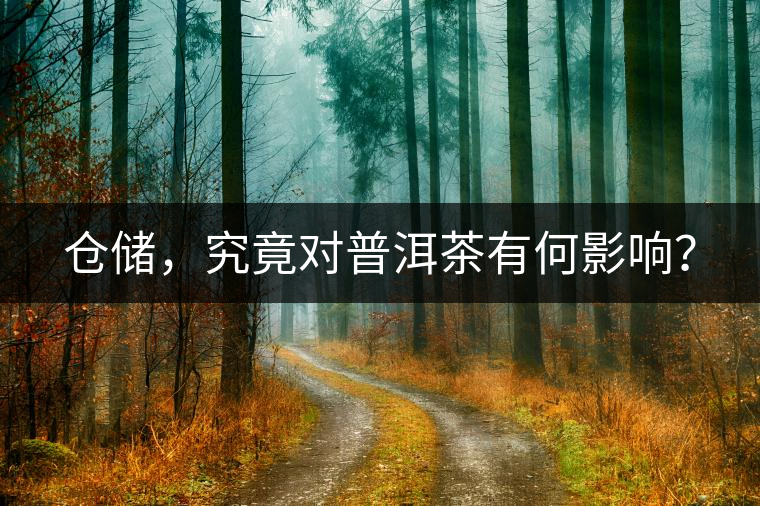 倉儲(chǔ)，究竟對(duì)普洱茶有何影響？