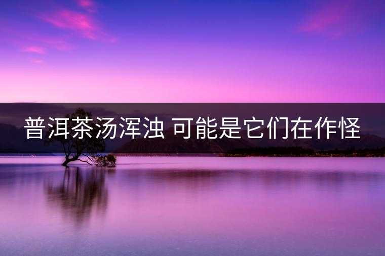 普洱茶湯渾濁 可能是它們?cè)谧鞴? alt=