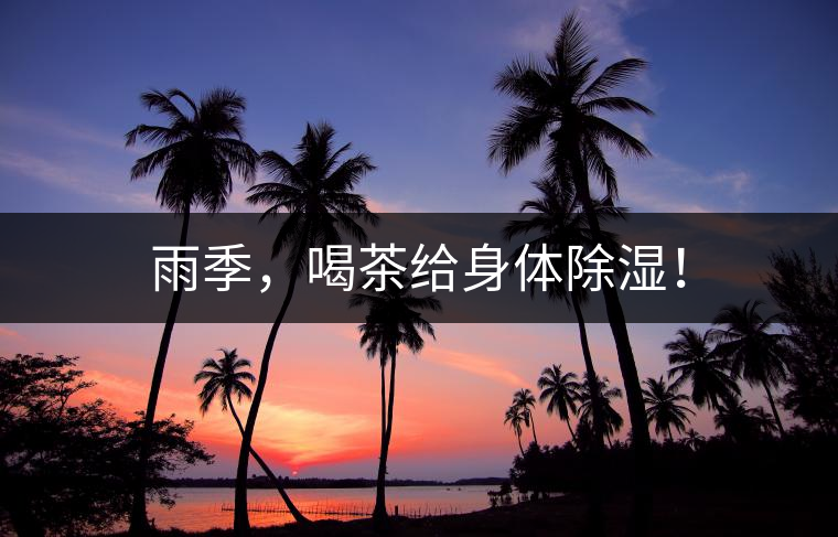 雨季，喝茶給身體除濕！