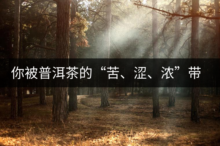 你被普洱茶的“苦、澀、濃”帶入“歧途”了嗎？