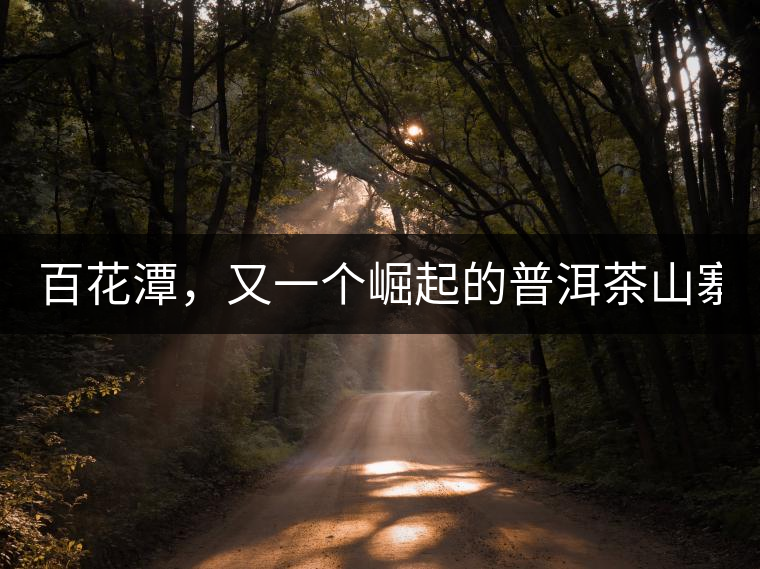 百花潭，又一個(gè)崛起的普洱茶山寨！