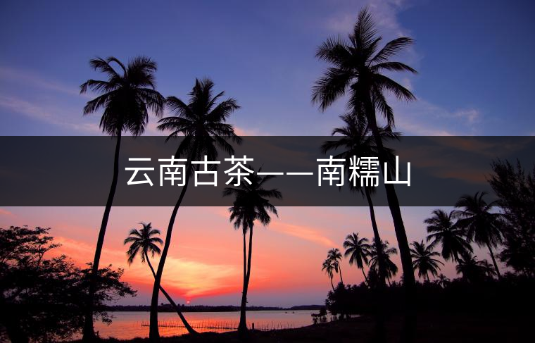 云南古茶——南糯山 云南古茶——南糯山