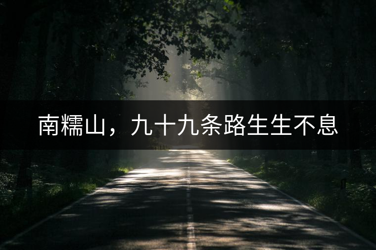 南糯山，九十九條路生生不息