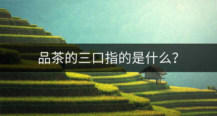 品茶的三口指的是什么？