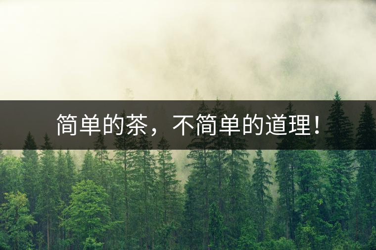 簡(jiǎn)單的茶，不簡(jiǎn)單的道理！