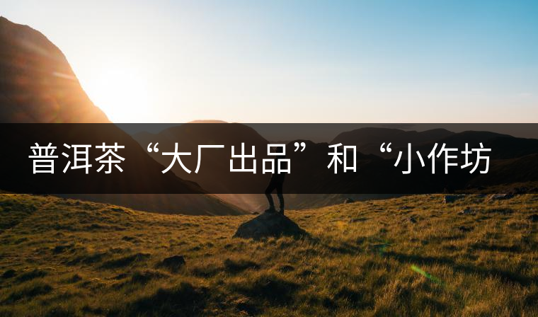普洱茶“大廠出品”和“小作坊”，哪一個更值得購買？