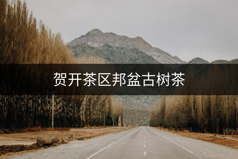 賀開(kāi)茶區(qū)邦盆古樹(shù)茶