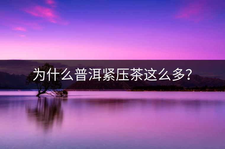為什么普洱緊壓茶這么多？
