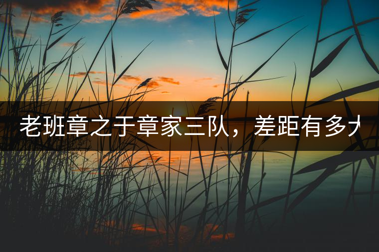 老班章之于章家三隊(duì)，差距有多大？