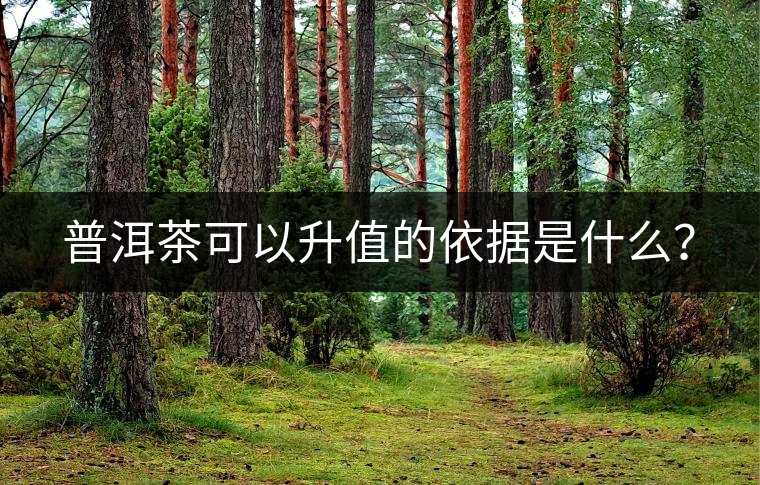 普洱茶可以升值的依據(jù)是什么？