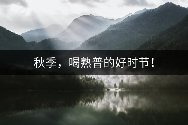 秋季，喝熟普的好時(shí)節(jié)！