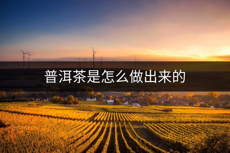 普洱茶是怎么做出來(lái)的 普洱茶是怎么做出來(lái)的