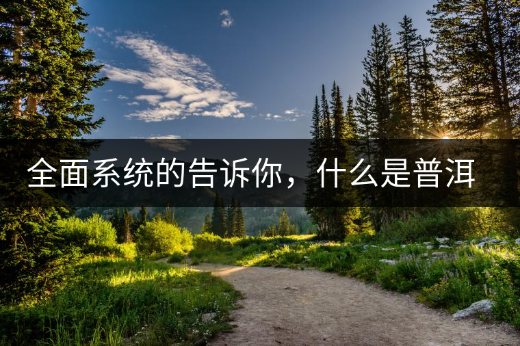 全面系統(tǒng)的告訴你，什么是普洱茶