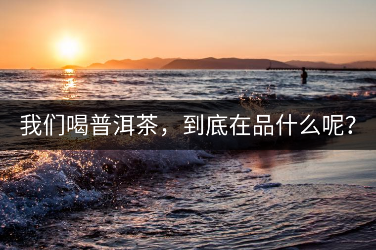 我們喝普洱茶，到底在品什么呢？