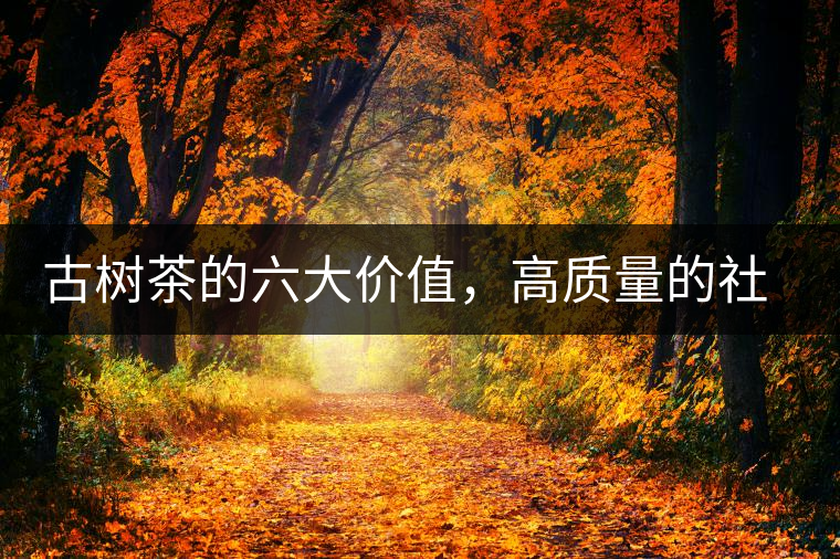 古樹茶的六大價值，高質(zhì)量的社交都離不開古樹茶