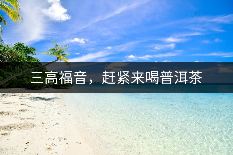 三高福音，趕緊來喝普洱茶