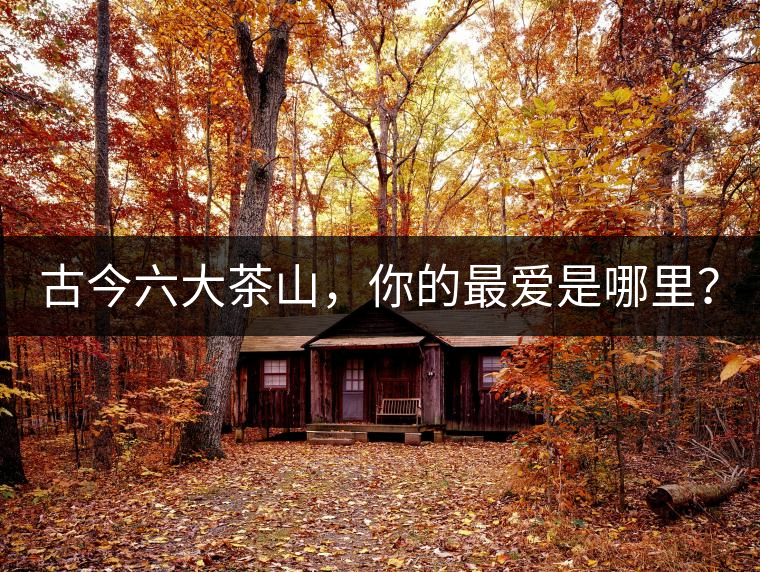 古今六大茶山，你的最愛是哪里？