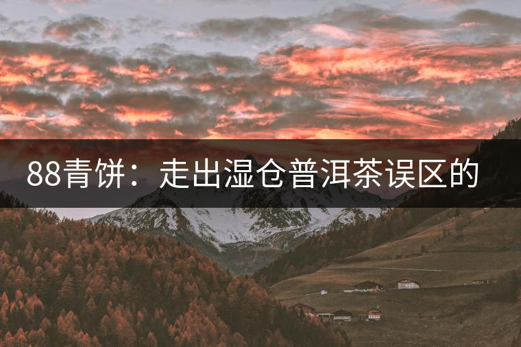 88青餅:走出濕倉普洱茶誤區(qū)的功臣 88青餅:走出濕倉普洱茶誤區(qū)的功臣