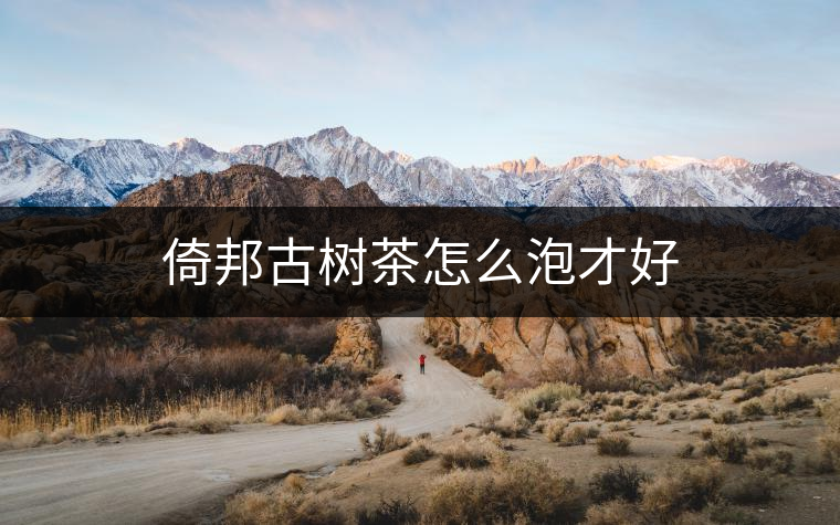 倚邦古樹茶怎么泡才好 倚邦古樹茶怎么泡才好