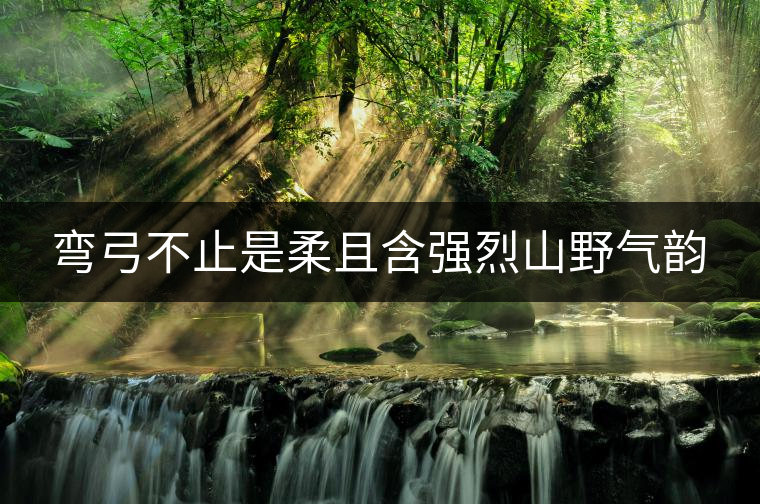 彎弓不止是柔且含強烈山野氣韻