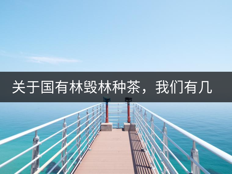 關(guān)于國(guó)有林毀林種茶,我們有幾點(diǎn)不得不說(shuō) 關(guān)于國(guó)有林毀林種茶,我們有幾點(diǎn)不得不說(shuō)