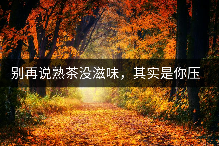 別再說熟茶沒滋味，其實是你壓根沒喝懂
