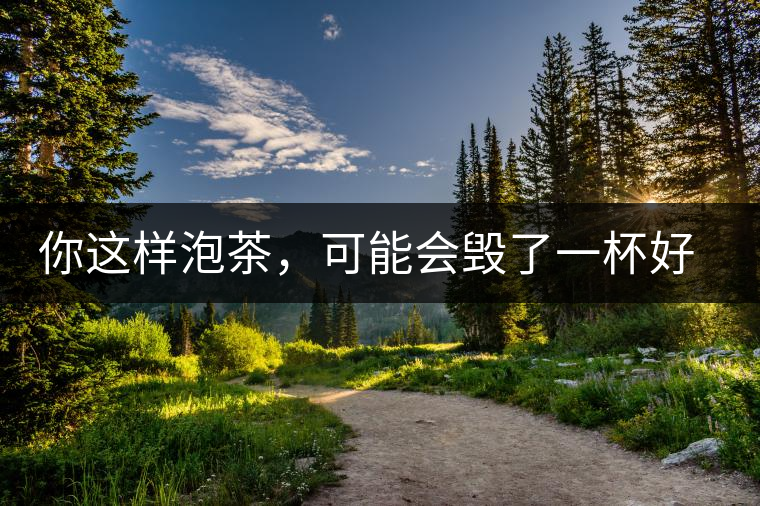 你這樣泡茶，可能會毀了一杯好茶