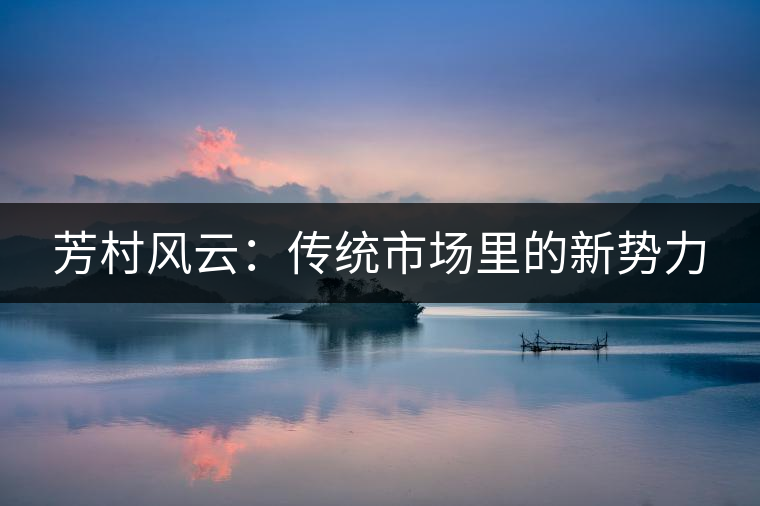 芳村風(fēng)云：傳統(tǒng)市場(chǎng)里的新勢(shì)力